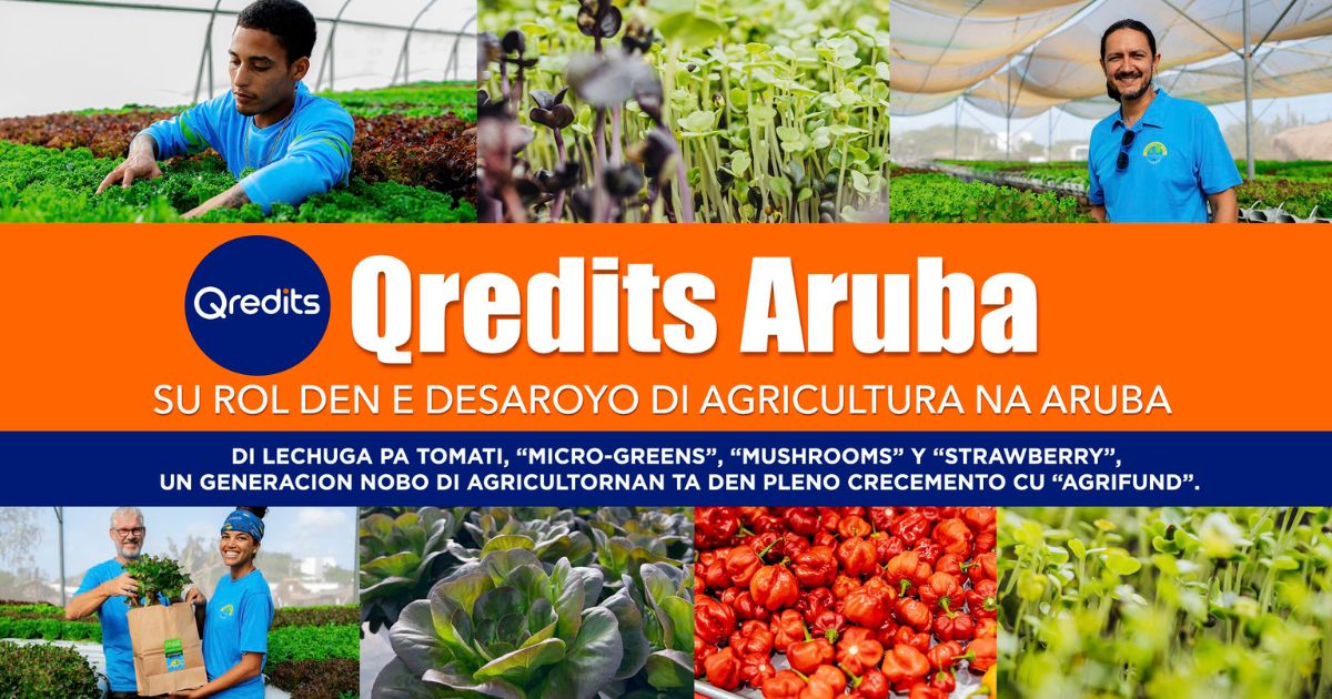 Qredits su rol den desaroyo di agricultura na Aruba